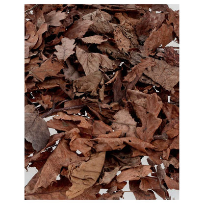 ProRep Bio Life Leaf Litter