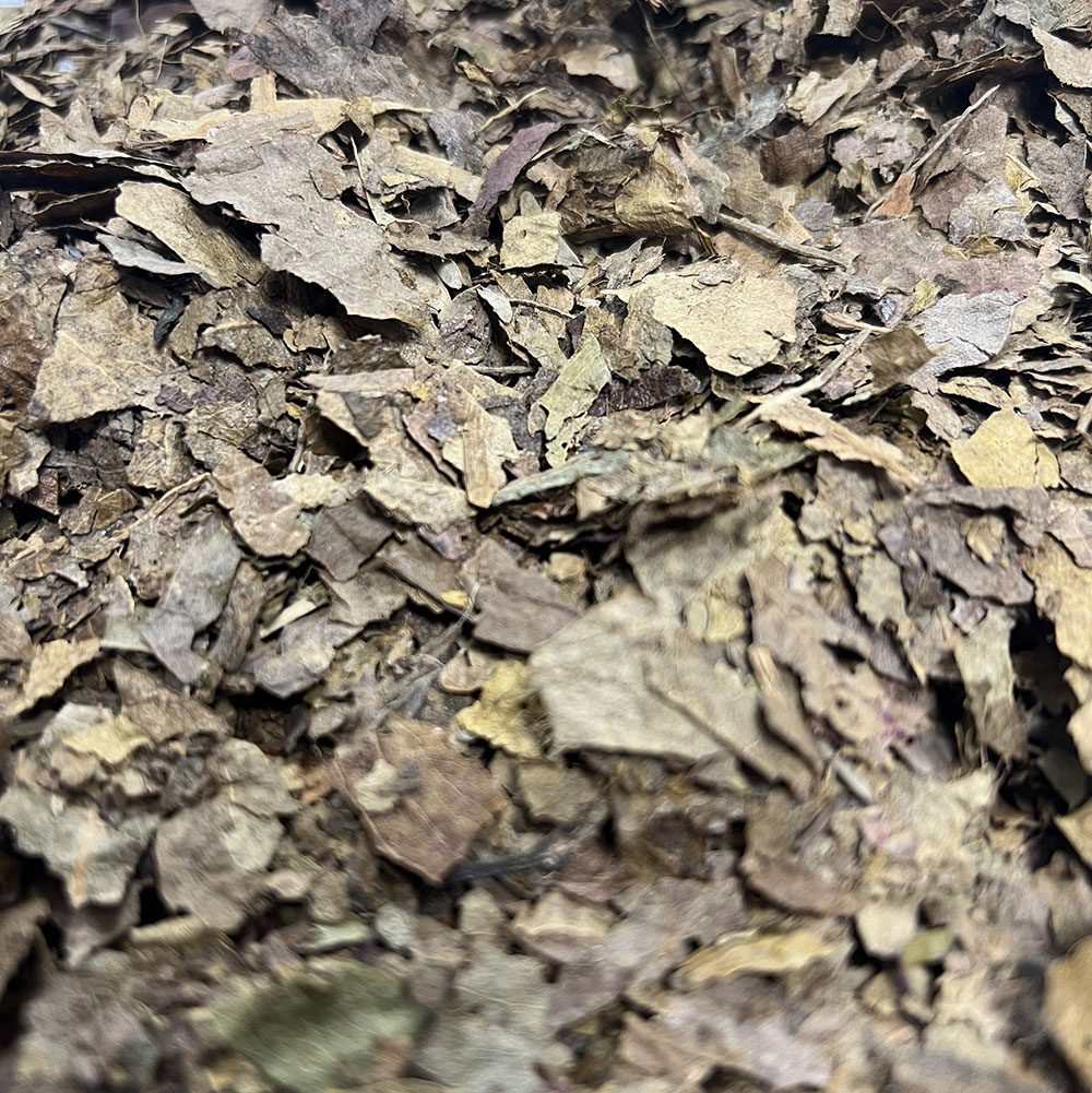 ProRep Bio Life Leaf Litter Brick