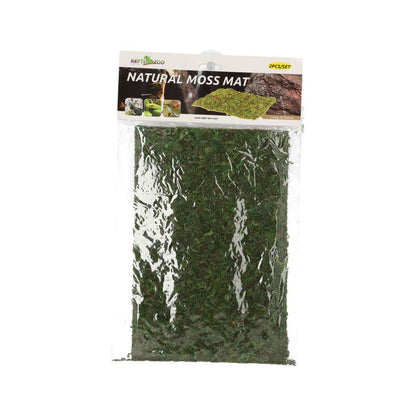 ReptiZoo Natural Moss Mat 30x20cm 2-Pack