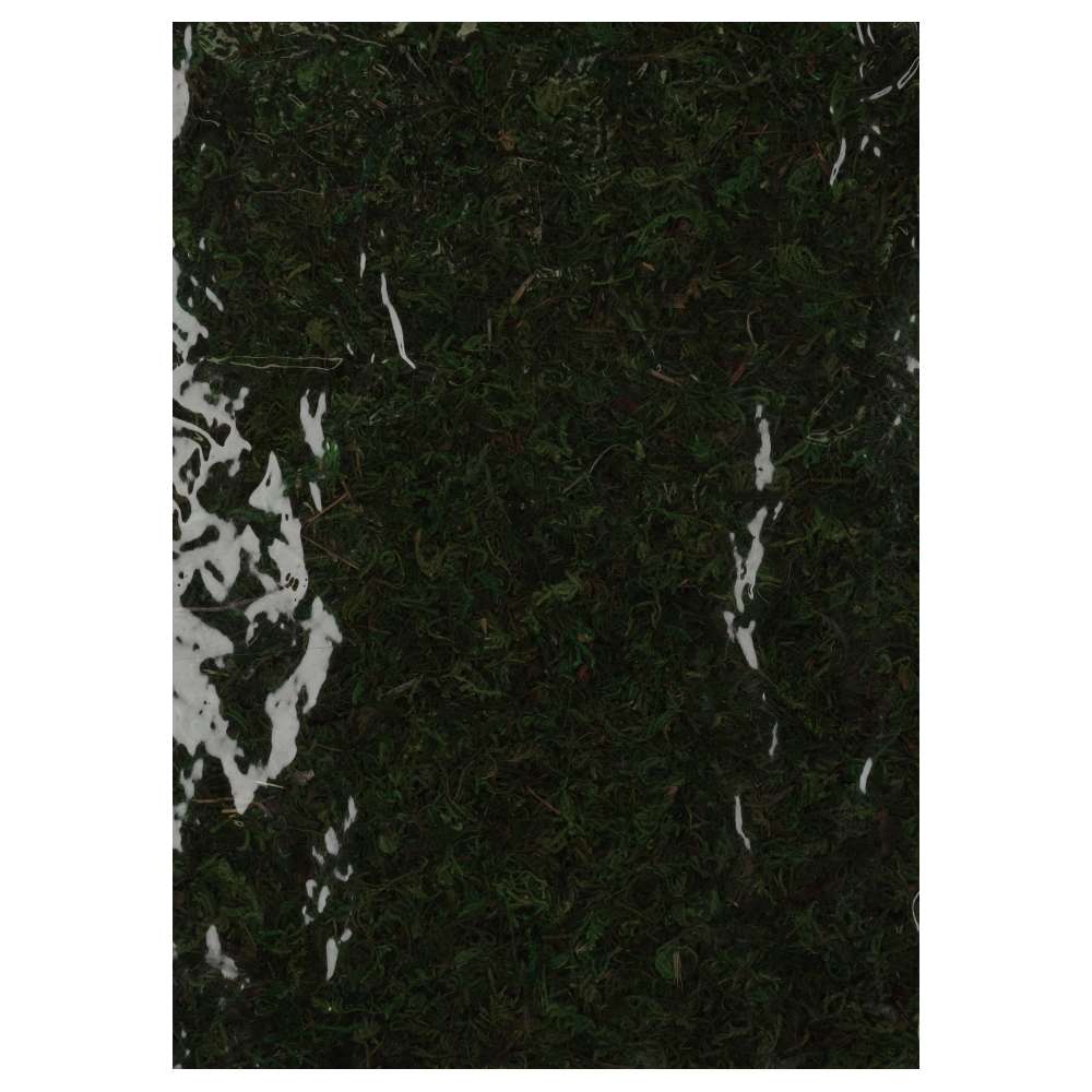 ReptiZoo Natural Moss Mat 30x20cm 2-Pack