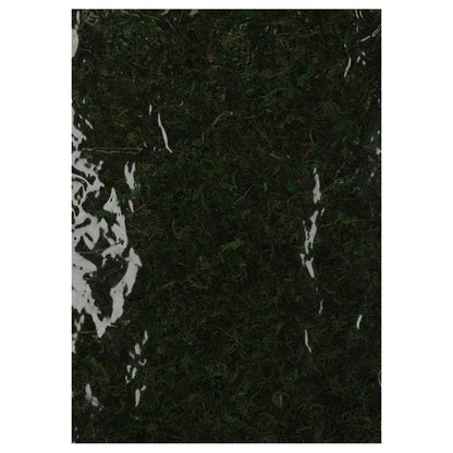 ReptiZoo Natural Moss Mat 30x20cm 2-Pack