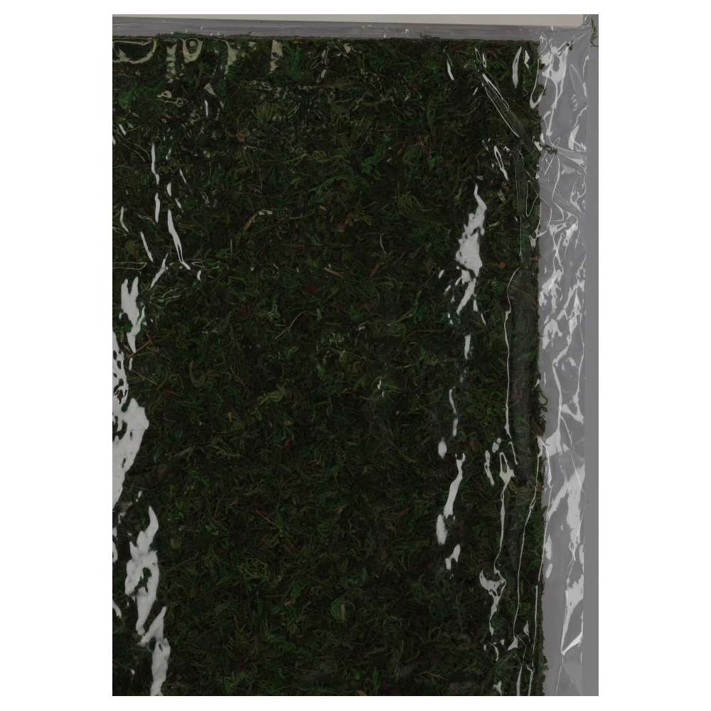 ReptiZoo Natural Moss Mat 30x20cm 2-Pack
