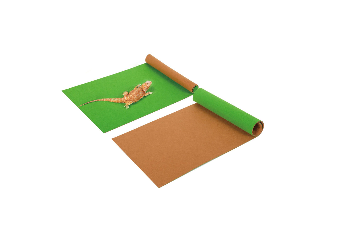 ReptiZoo Double Sided Tropical/Desert Mat