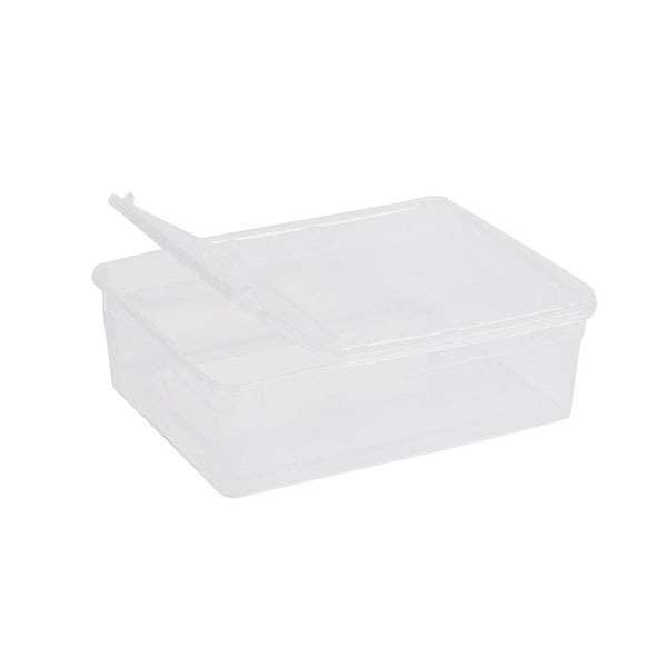 BraPlast Hinged Box 3.0L 245x185x75mm