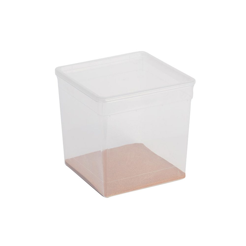 BraPlast Box 5.8L 185x185x190mm