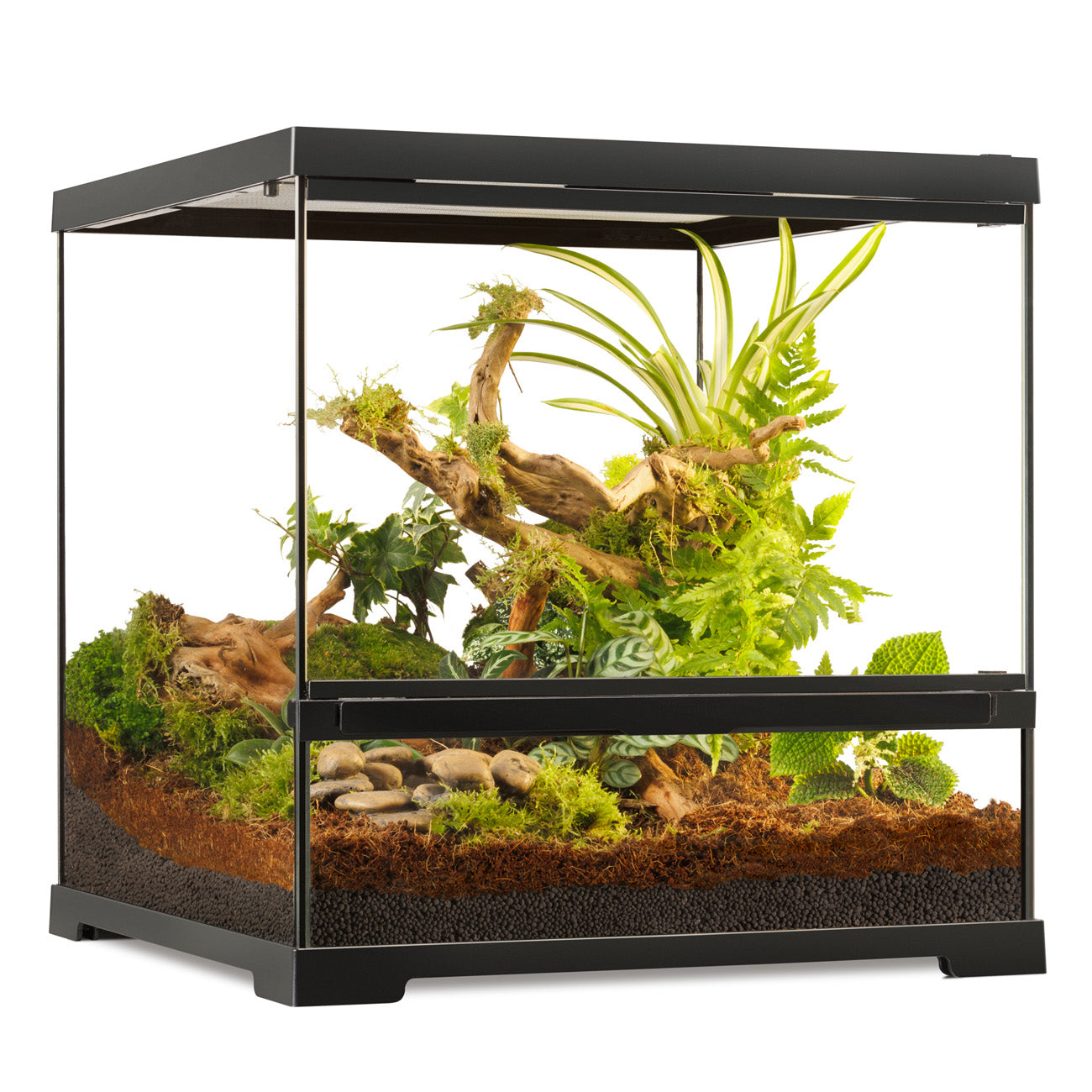 Exo Terra Pro Terrarium 45x45x45cm PT4404 Glass Vivarium