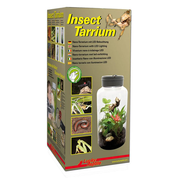 Lucky Reptile Insect-Tarrium 5 Litre
