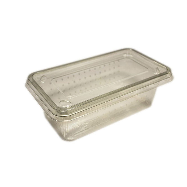 ProRep Cricket Tub Vented with Lid 10 pack