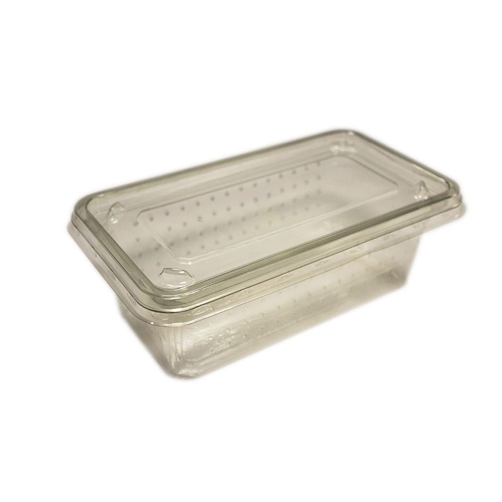 ProRep Cricket Tub Vented with Lid 10 pack