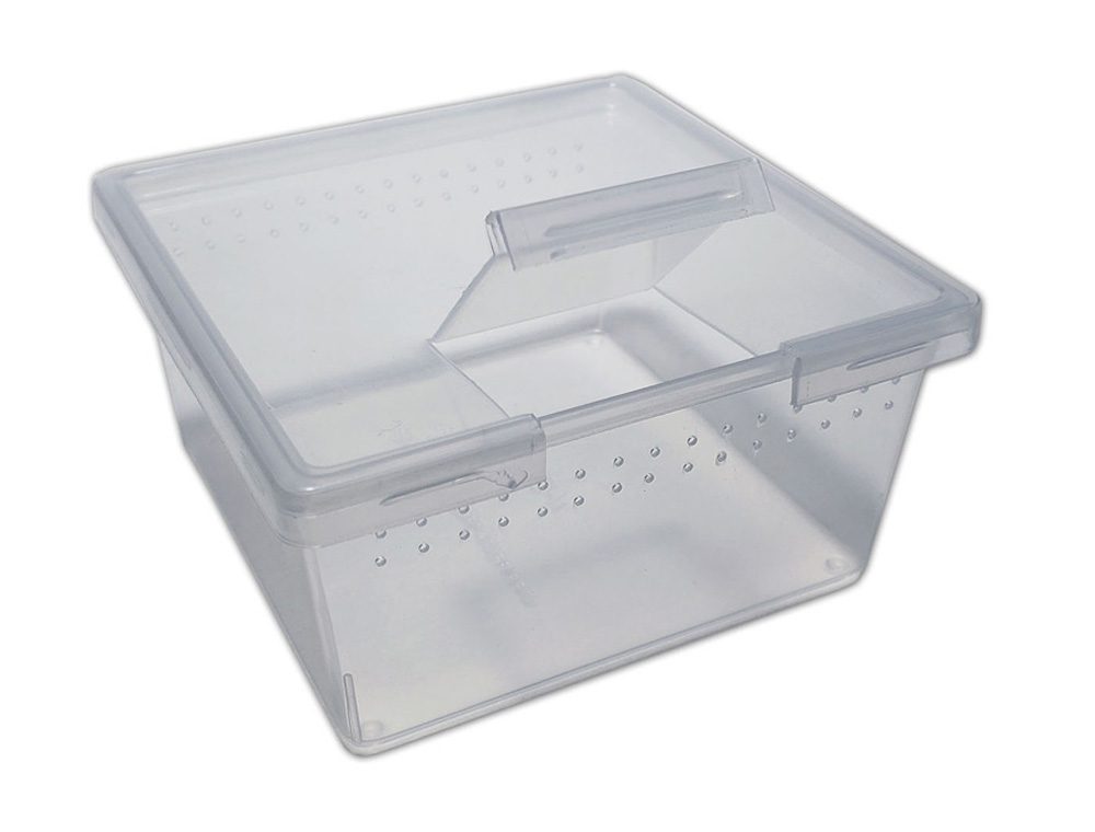 Peregrine Livefoods Square Container with Flip Lid 7oz – Pack of 25