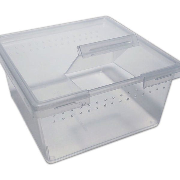 Peregrine Livefoods Square Container with Flip Lid 7oz – Pack of 300