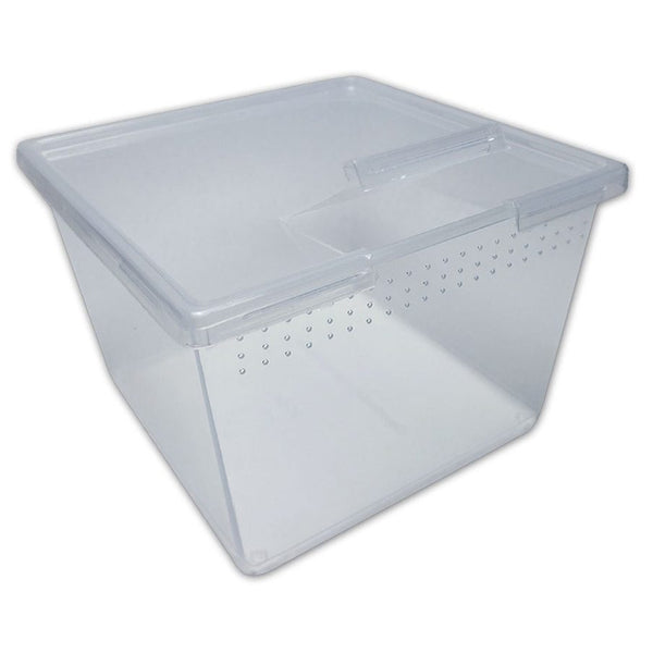 Peregrine Livefoods Square Container with Flip Lid 24oz – Pack of 25