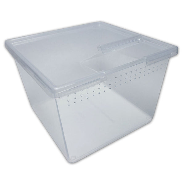 Peregrine Livefoods Square Container with Flip Lid 24oz – Pack of 25