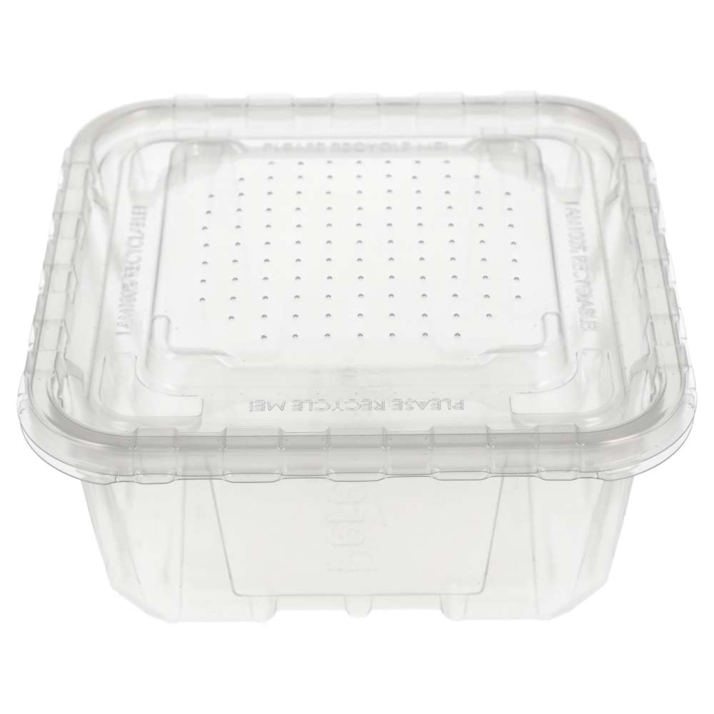 Peregrine Livefoods Live Animal Vented Tub 176x176mm | 16 Pack