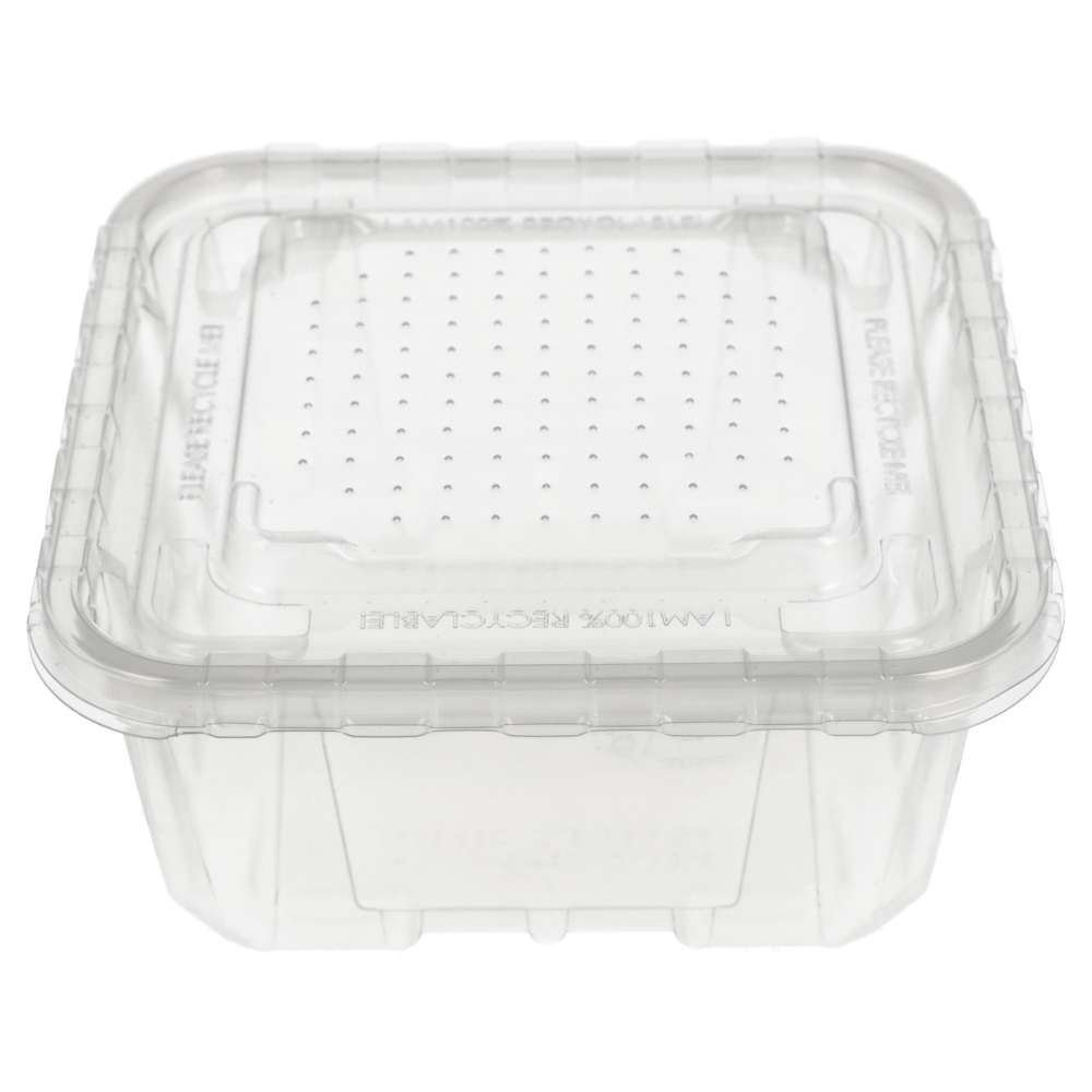 Peregrine Livefoods Live Animal Vented Tub 176x176mm | 16 Pack