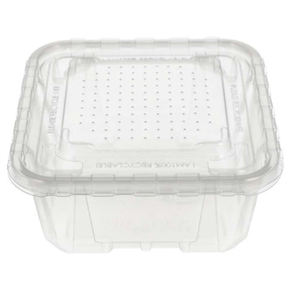 Peregrine Livefoods Live Animal Vented Tub 176x176mm | 16 Pack