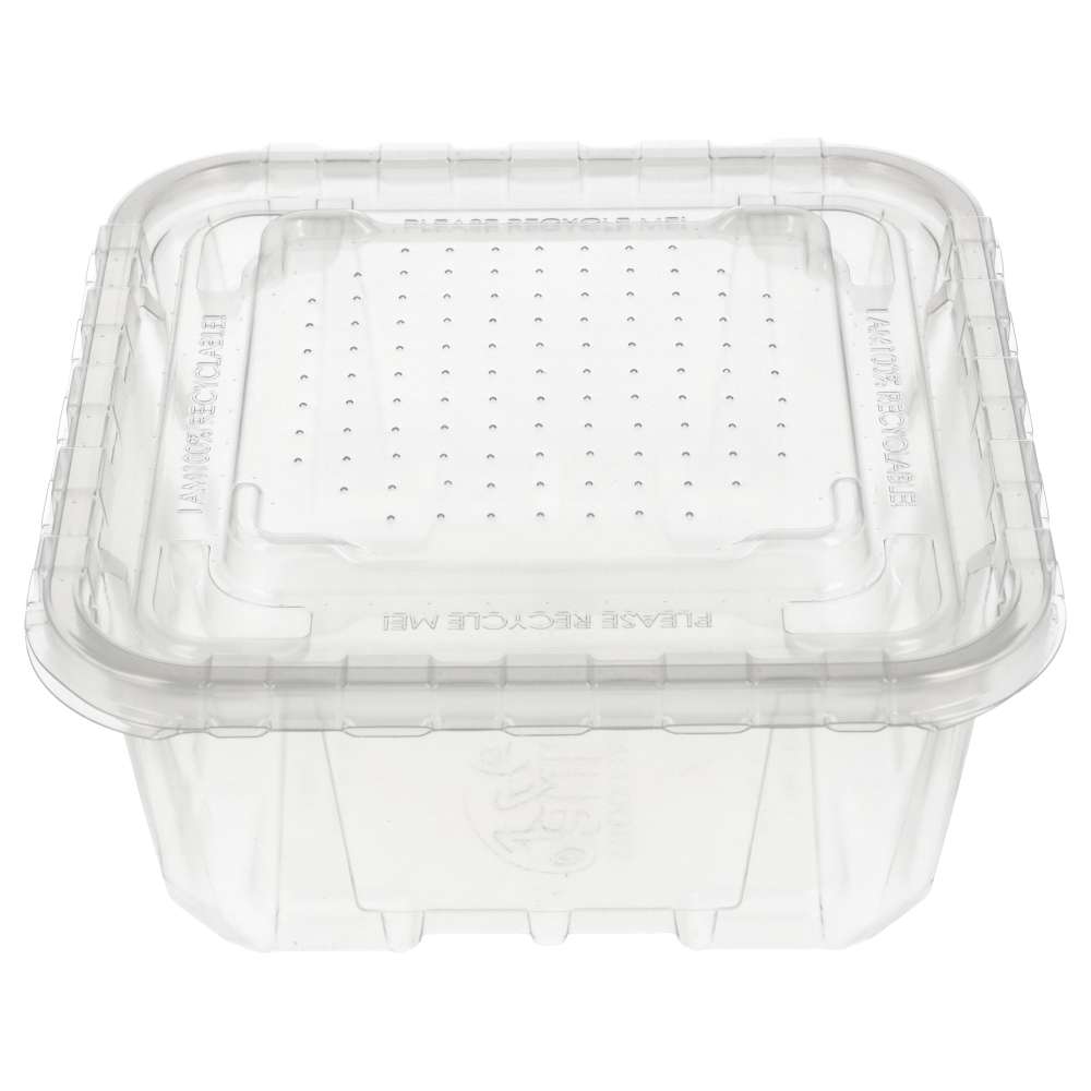 Peregrine Livefoods Live Animal Vented Tub 176x176mm | 16 Pack