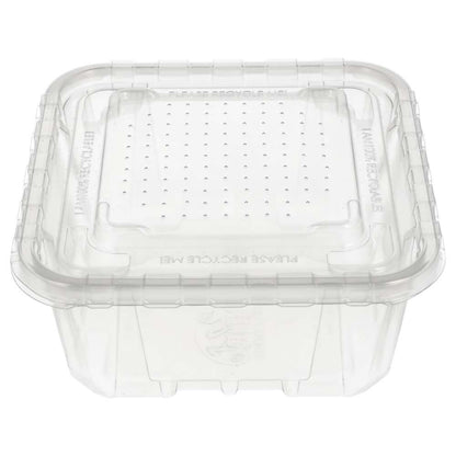 Peregrine Livefoods Live Animal Vented Tub 176x176mm | 16 Pack