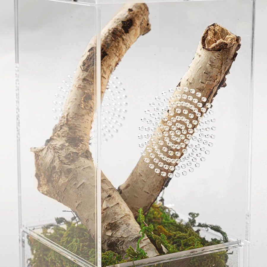 ReptiZoo Acrylic Case with Removable Tray