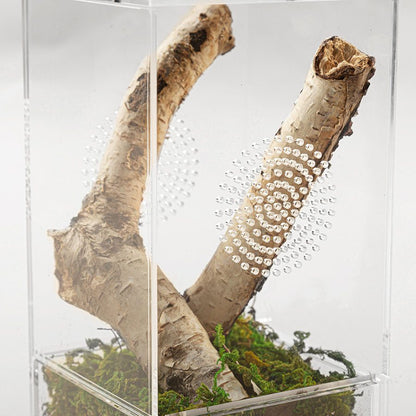 ReptiZoo Acrylic Case with Removable Tray