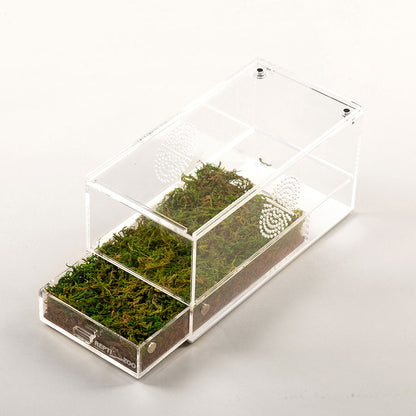 ReptiZoo Acrylic Case with Removable Tray 203x102x102mm