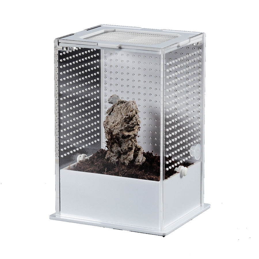 ReptiZoo White Base Insect Acrylic Box 10x8.5x15cm | Invertebrate Enclosure