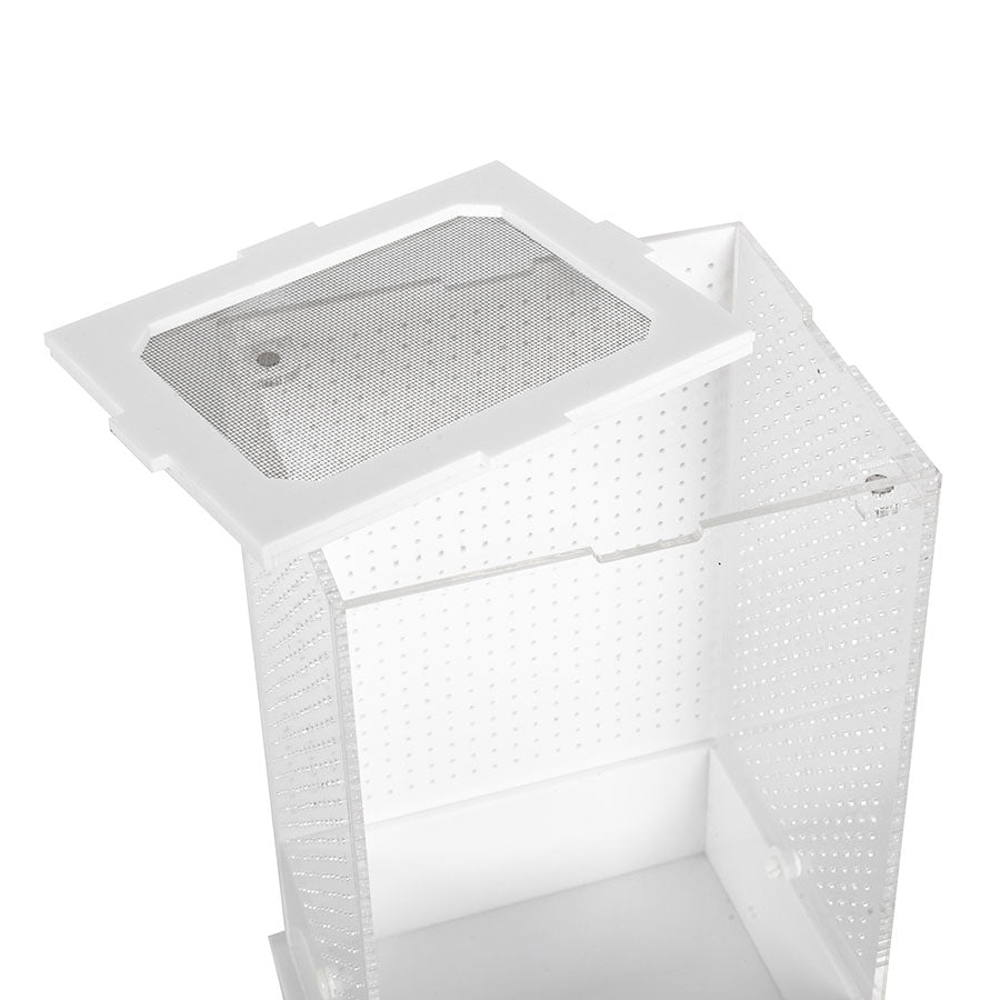 ReptiZoo White Base Insect Acrylic Box 10x8.5x15cm | Invertebrate Enclosure