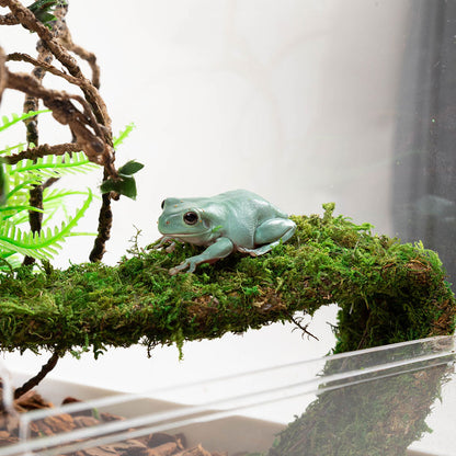 ReptiZoo Acrylic Enclosure Flatpack 305x305x457mm Vivarium