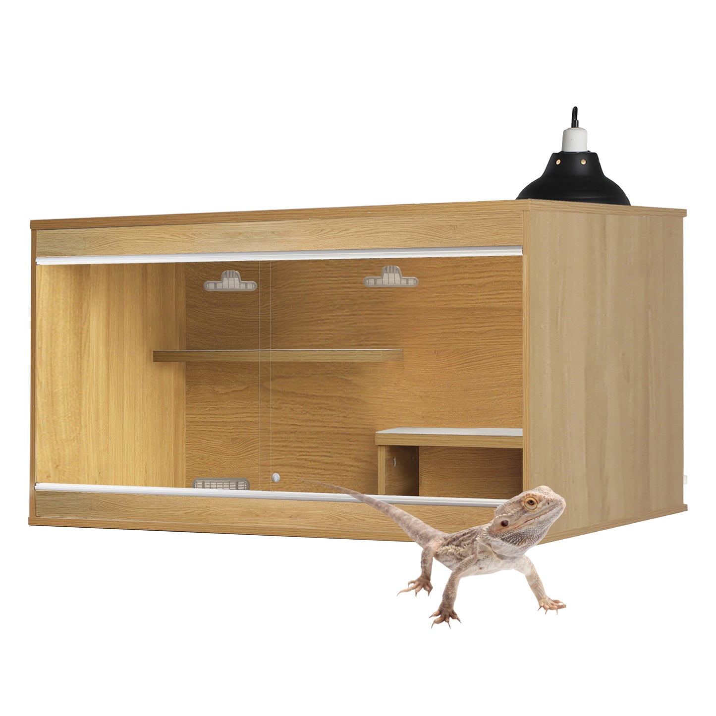 Bearded Dragon Starter Kit – Oak Vivarium | TVV088