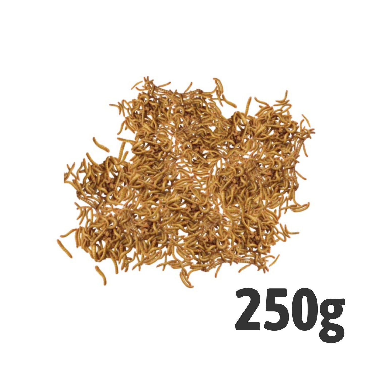 Mini Mealworms 250g Bag