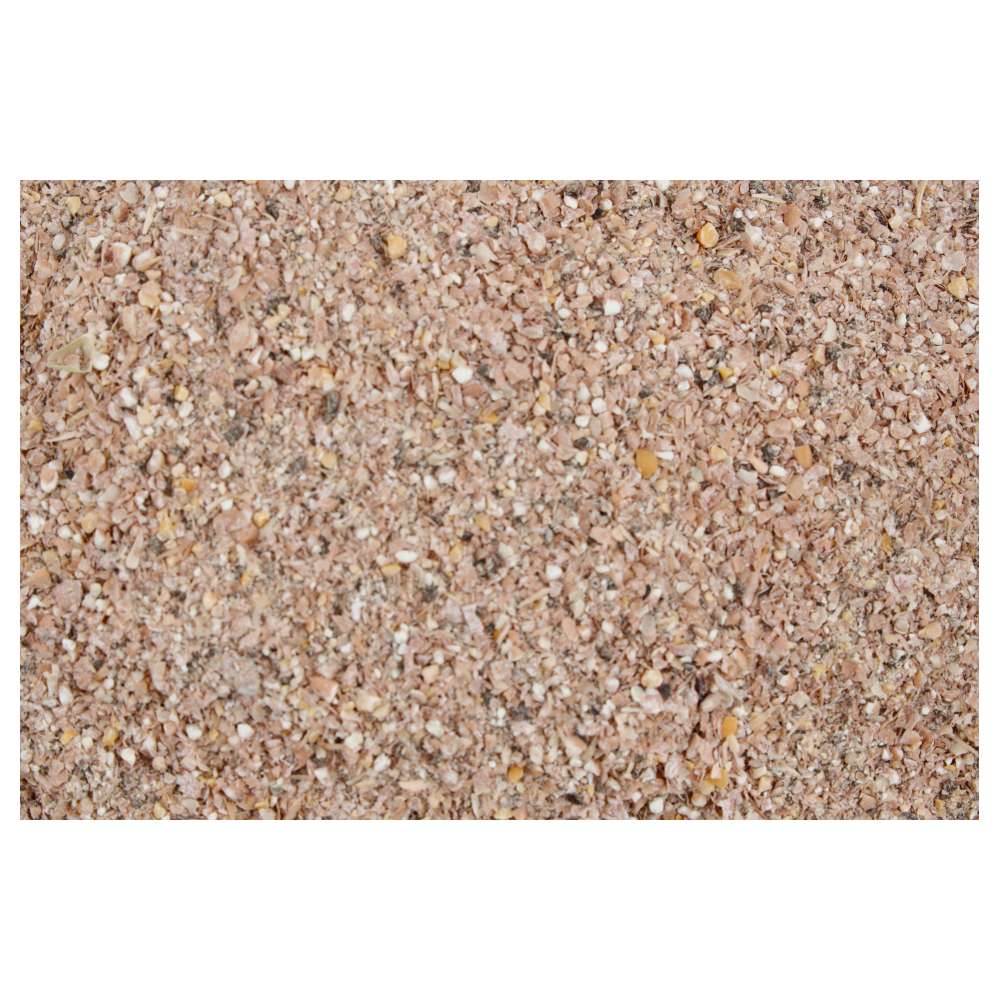 ProRep Bug Grub Bulk Pack 1kg – Complete Livefood Insect Diet