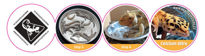 Reptile Systems Calcium Ultra