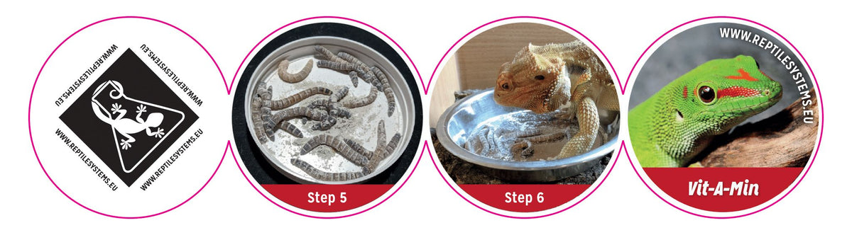 Reptile Systems Vit-A-Max