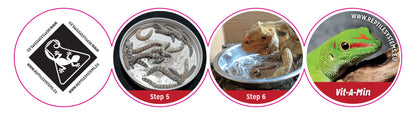 Reptile Systems Vit-A-Max