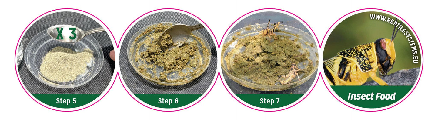Reptile Systems Insect Food