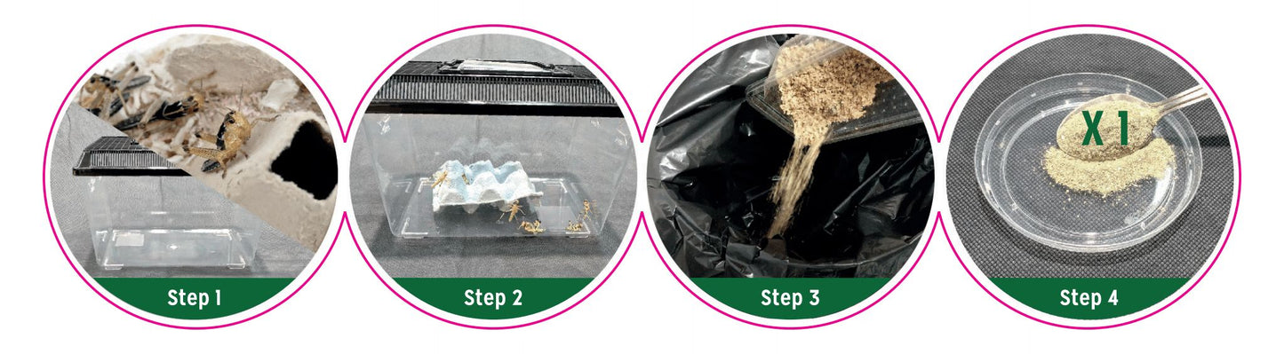Reptile Systems Insect Food