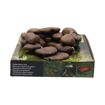 Exo Terra Frog Pond Large Pebble Water Dish PT3174 | Reptile & Amphibian