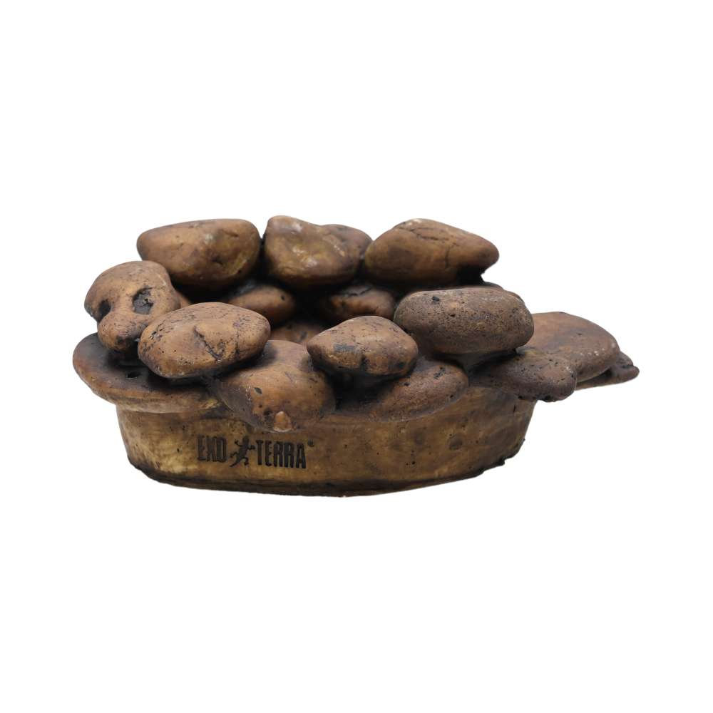 Exo Terra Frog Pond Large Pebble Water Dish PT3174 | Reptile & Amphibian
