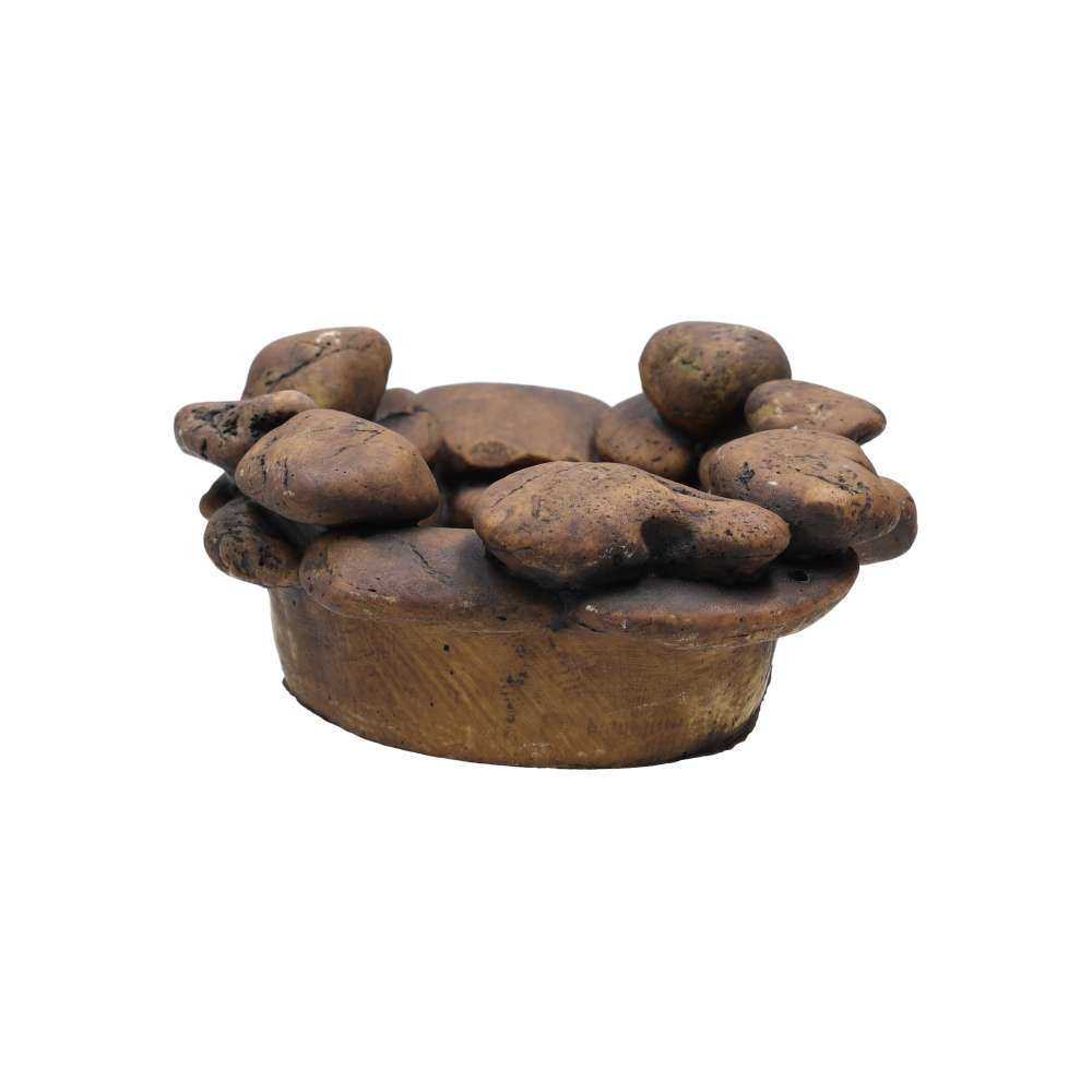 Exo Terra Frog Pond Large Pebble Water Dish PT3174 | Reptile & Amphibian