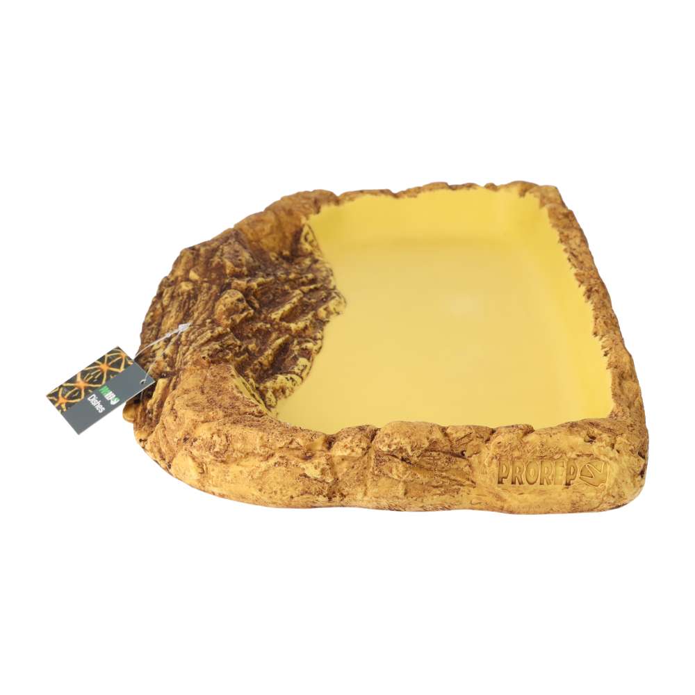 ProRep Tortoise Pool Large – Shallow Soaking Dish for Tortoises