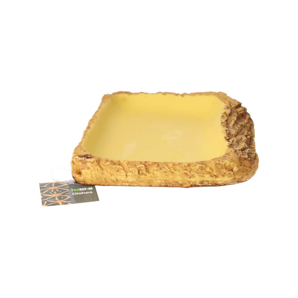 ProRep Tortoise Feed Dish Large WPE320 – Resin Feeding Bowl