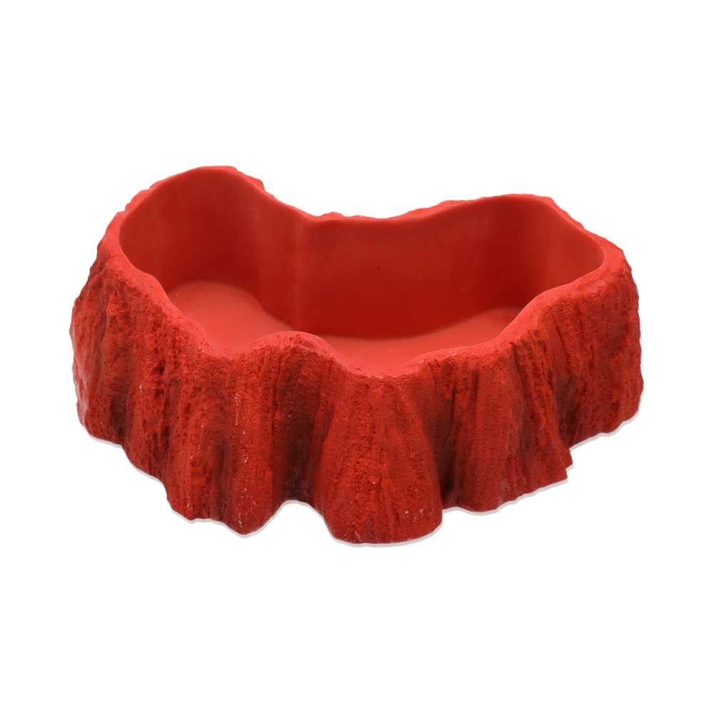 ProRep Beardie Billabong Pool Small – Resin Water Bowl for Bearded Dragons