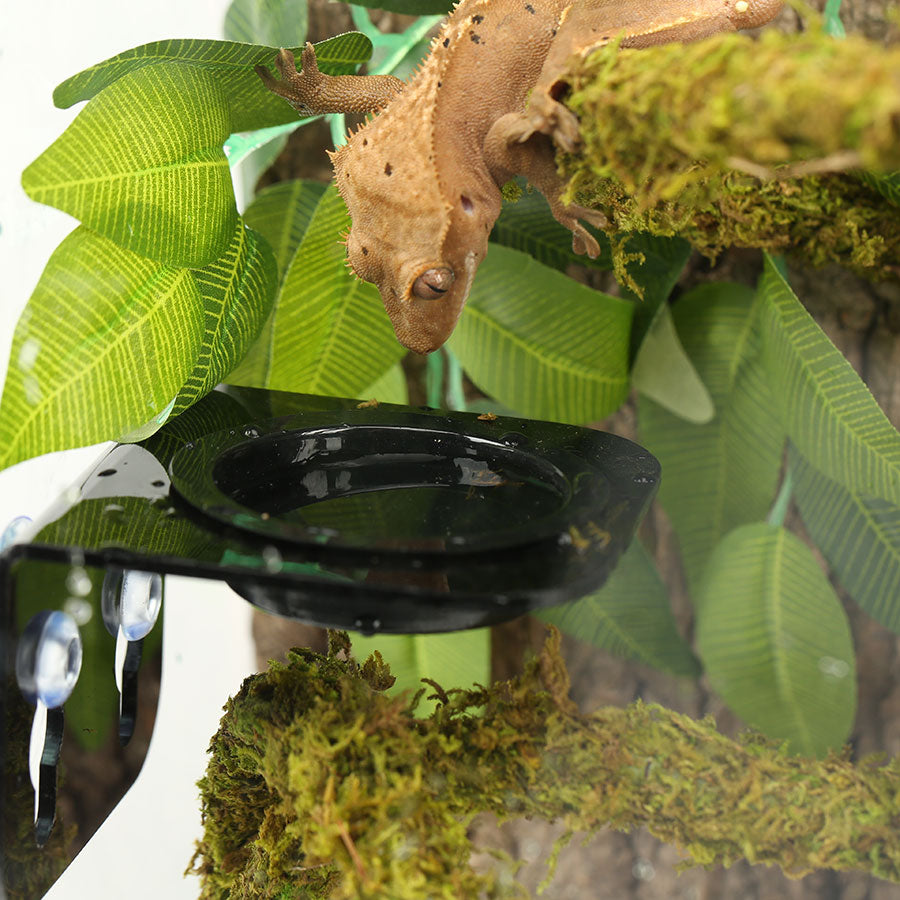 ReptiZoo Arboreal Feeder Black 8x8cm | Vivarium Feeding Ledge