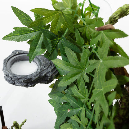 ReptiZoo Magnetic Arboreal Feeder Rock 12x8cm | Vivarium Feeding Ledge