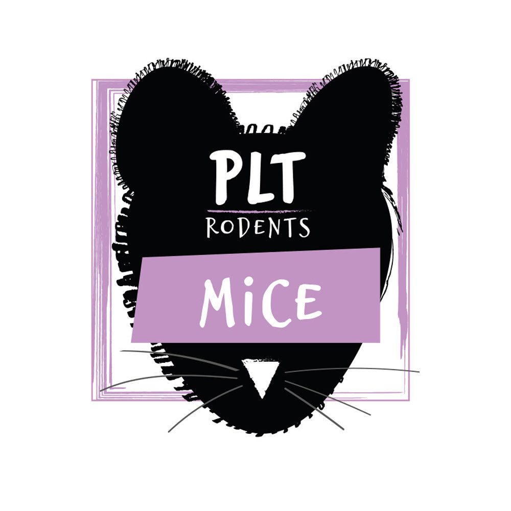 PLT Rabbit 100g+ | Snake & Bird of Prey Food