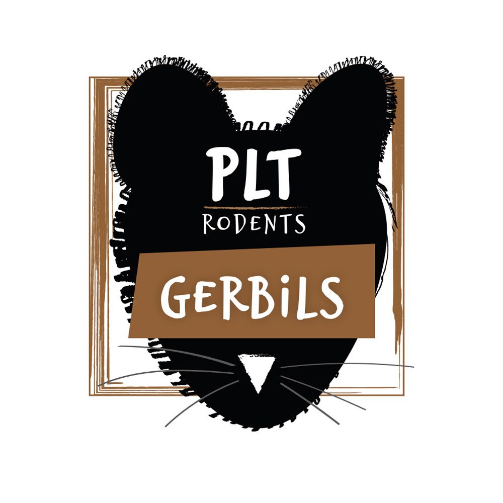 PLT Frozen Gerbils 20g+
