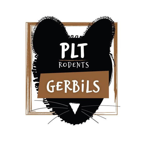 PLT Frozen Gerbils 50g+