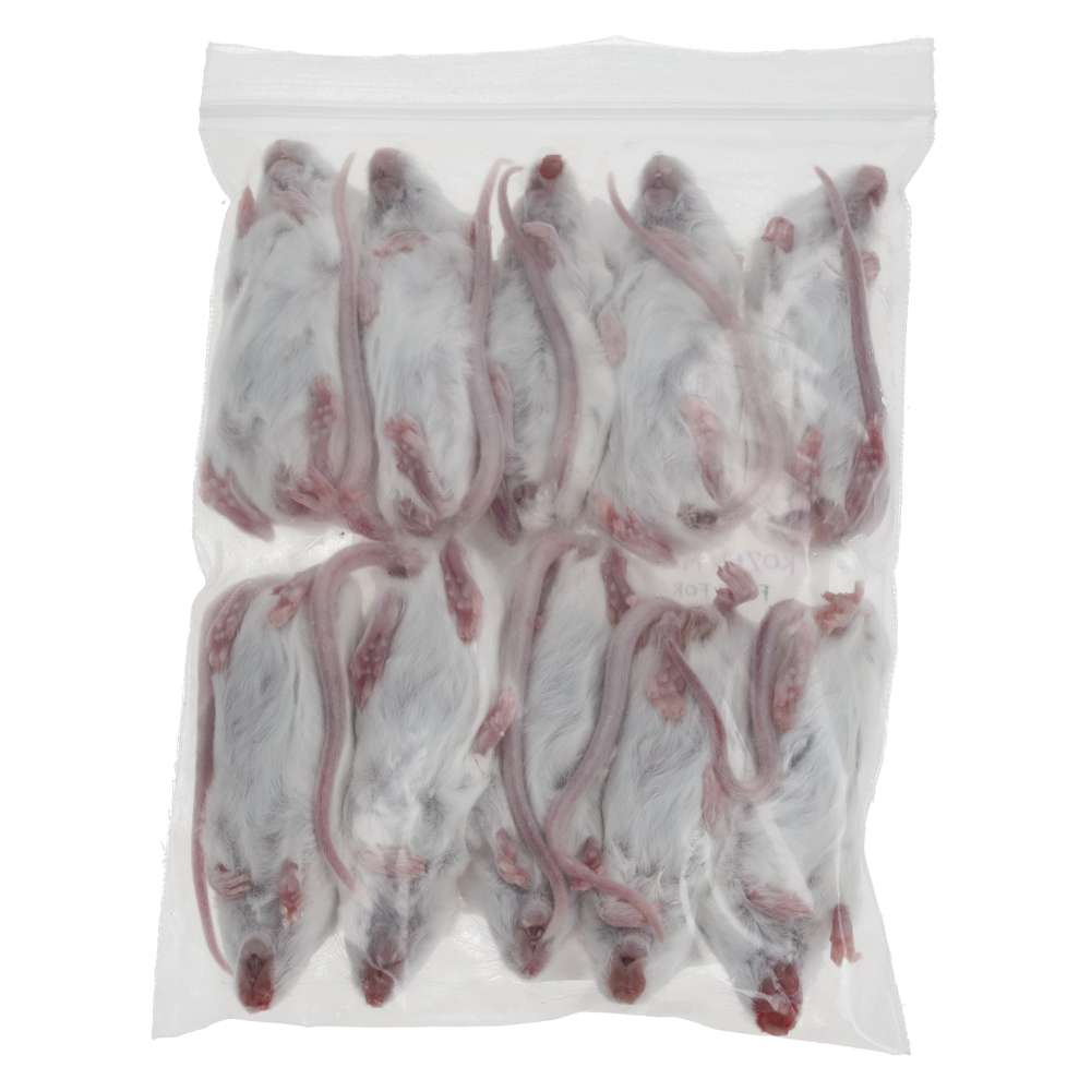 PLT Frozen Mice Small/Medium 15g+