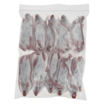 PLT Frozen Mice Small/Medium 15g+