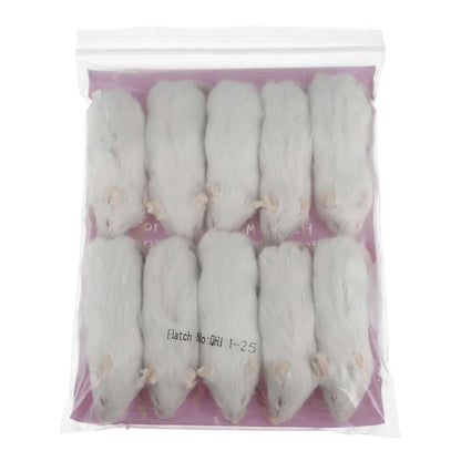 PLT Frozen Mice Large 26g+